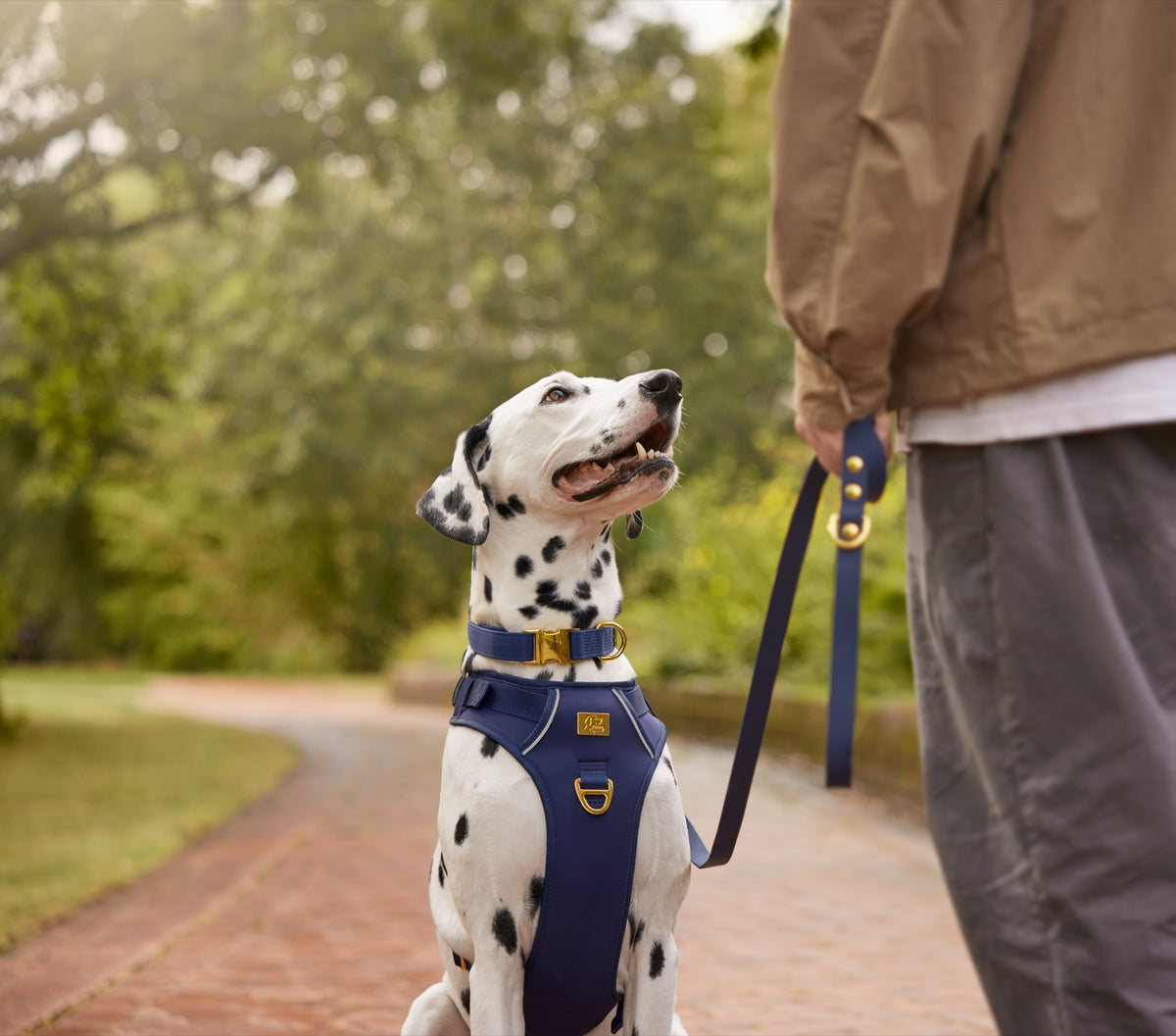 TidyTails Walking Set