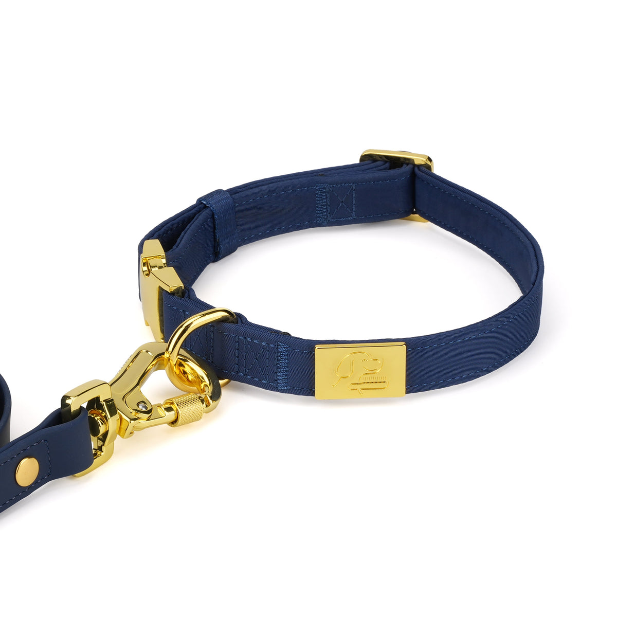 Close-up of the TidyTails padded collar and gold-tone leash clasp