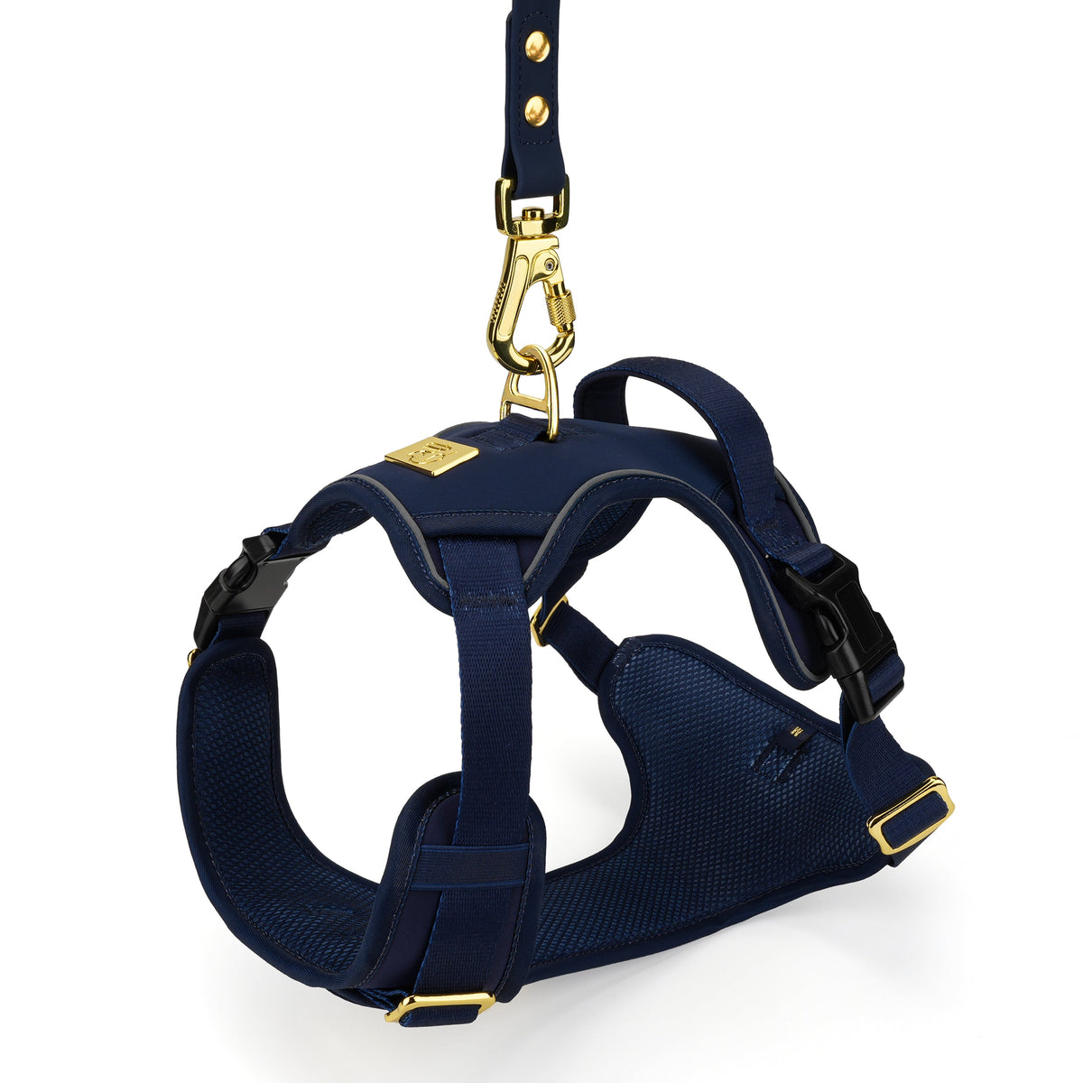 Close-up of TidyTails harness padding, buckles and leash attachments