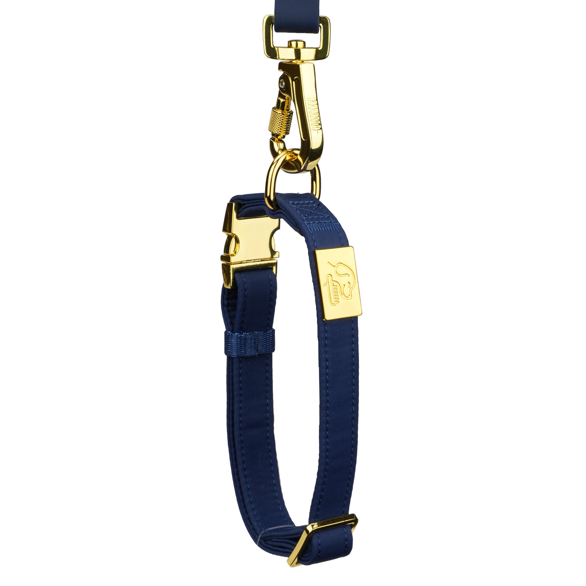 TidyTails locking leash clasp attached to the matching collar