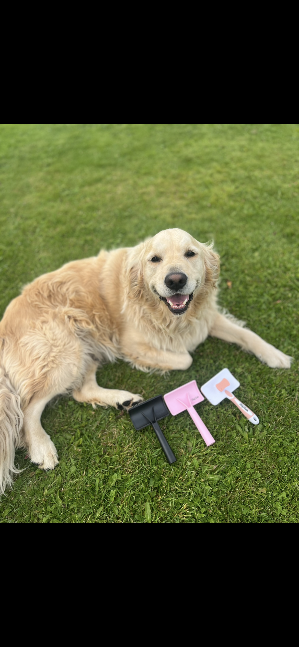 The Grooming Duo™