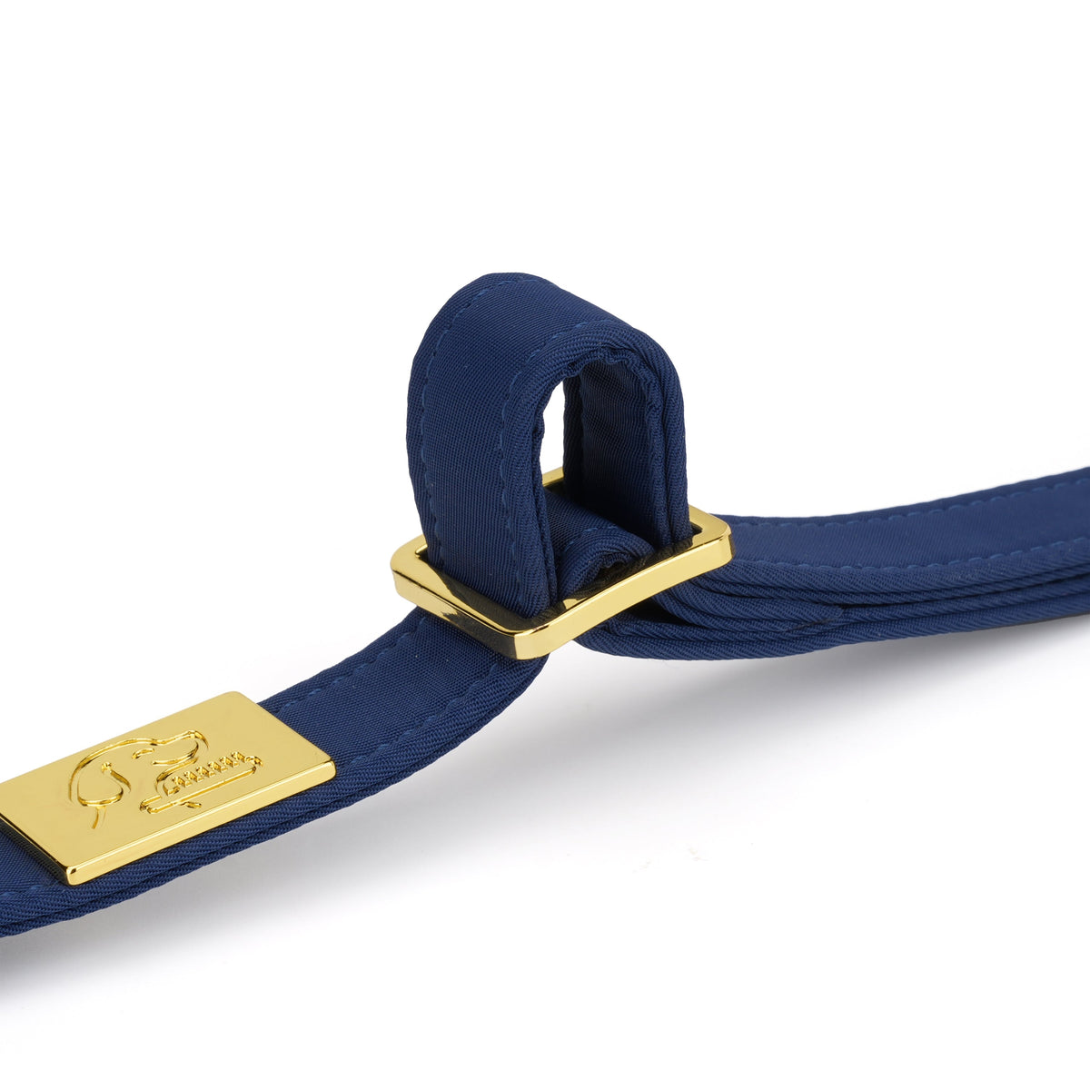 Close-up of TidyTails collar padding and gold adjustment hardware