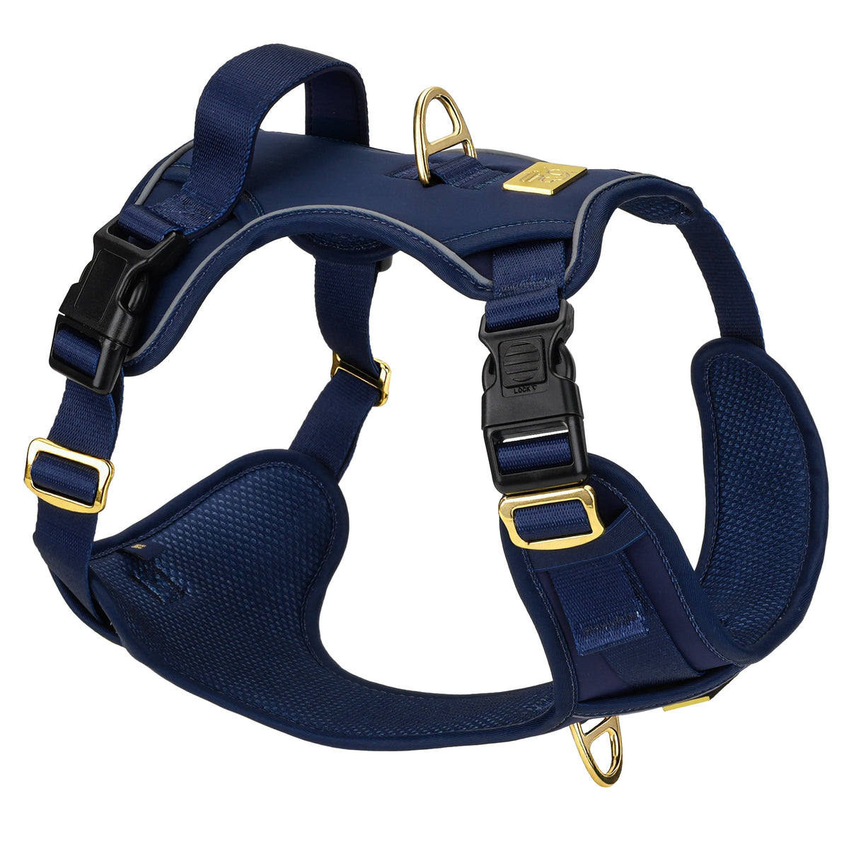 Three-quarter view of the padded TidyTails no-pull harness