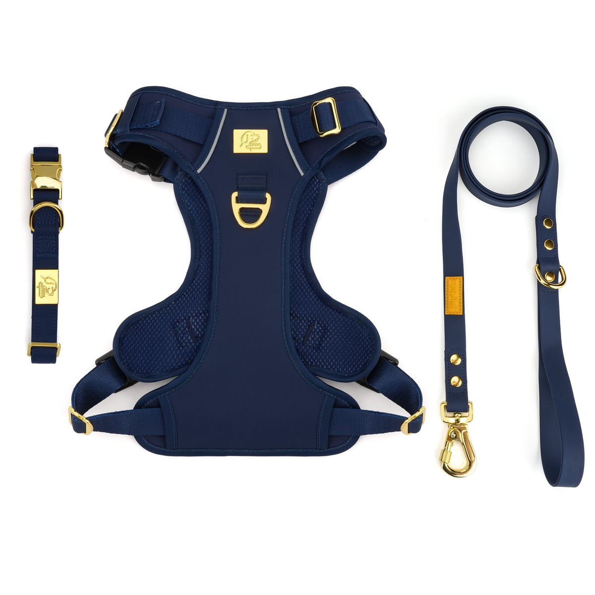 TidyTails walking set showing the harness, collar and matching leash